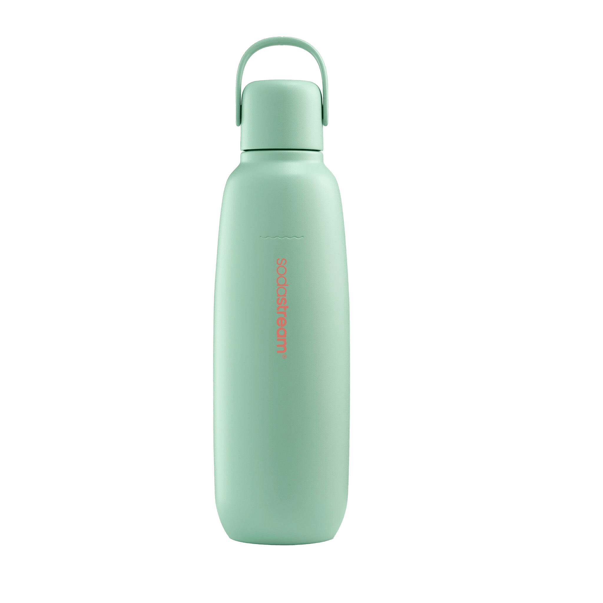 Fizz & Go Stainless Steel Mint